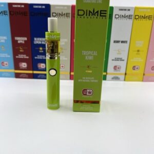 Dime 2g disposable​, dime disposable 2g​, dime 2g disposable review​, dimes 2g​, 2g dimes​, dime 2g dispo​, dime 2g disposable price​